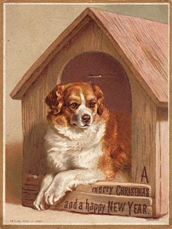 Images Dated 10th December 2015: Large dog in its kennel on a Christmas and New Year card