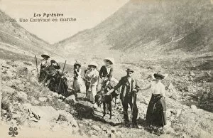 Pyrenees Collection: Large family group led through a valley in the Pyrenees