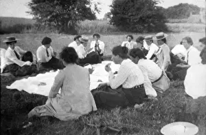 Large group at picnic