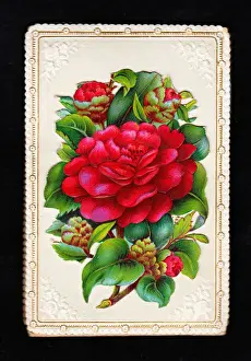 Large red flower on a greetings card