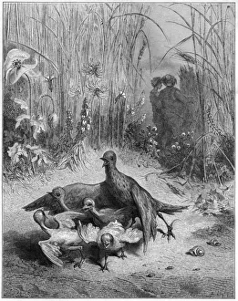 Nesting Prints: Lark, Brood & Farmer