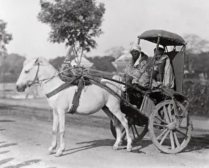 Late 19th century photograph: Ekka, single horse carriage, hackney, India Late 19th century photograph: Ekka, single horse carriage, hackney, India