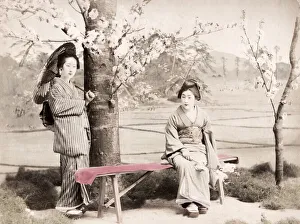 Late 19th century - young Japanese women, cherry blossom