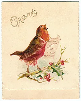 Late Victorian 1880s Card Cards Greetings Comic