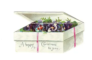 Late Victorian 1890s Card Cards Box Boxes Greeting