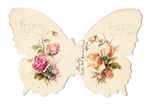 Late Victorian 1890s Card Cards Greetings Insect
