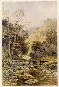 Lathkil Dale
