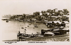 Images Dated 24th November 2016: Lavender Bay, North Sydney, New South Wales, Australia