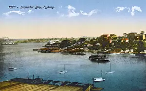 Lavender Prints: Lavender Bay, Sydney, New South Wales, Australia