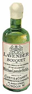 Lavender Prints: Lavender Bouquet
