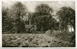 Pleasant Prints: Lavender Field & Cottage, Mount Pleasant, Hertfordshire