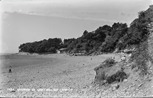 Marys Prints: Laverock at St. Mary's Well Bay
