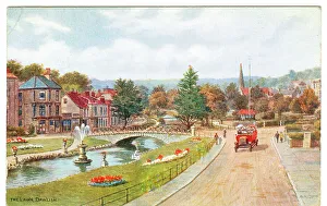 Municipal Collection: The Lawn, Dawlish