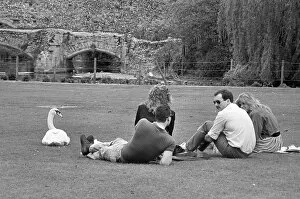 Relax Gallery: On the lawns of Abbey Gardens Bury St Edmunds, Suffolk