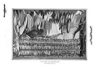 Tiller Prints: The Lawrence Tiller Girls in the scene In the Wild Jungle