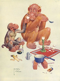Images Dated 7th January 2012: Lawson Wood - Pre-War Gran pop?