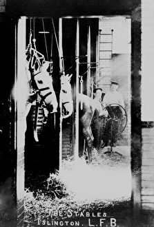 Stable Collection: LCC-LFB Islington fire station stables