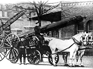 Images Dated 31st May 1890: LCC- MFB horse drawn escape cart and ladder