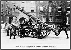Escapes Gallery: LCC-MFB horse drawn wheeled escape cart