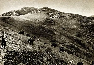 Le Cantal Pittoresque - France
