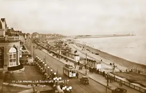 Boulevard Prints: Le Havre, France - Boulevard Albert I