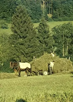 Le Mont - Switzerland