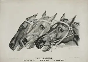 The leaders
