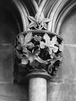 Depictions Collection: Leaf Capital