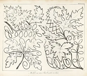 Womens Work Prints: Leaf patterns for needlework