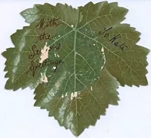 Images Dated 5th October 2017: Leaf-shaped reversible Christmas card