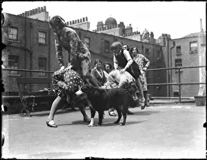Leapfrog on the Roof