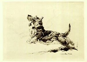 Leaping Collection: Leaping Dog, by Harry Rountree