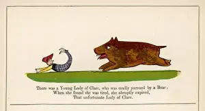 Lear / Book of Nonsense