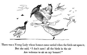 Lear / Book of Nonsense