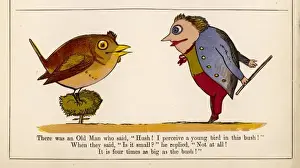 Lear / Book of Nonsense