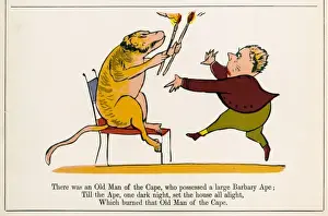 Barbary Prints: Lear / Nonsense / The Cape