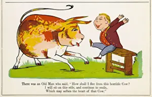 Flee Prints: Lear / Nonsense / Cow