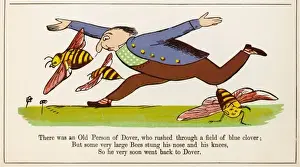 Lear / Nonsense / Dover