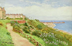 Cliff Prints: Leas Cliffs, Folkestone, Kent