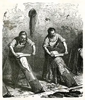 Skins Prints: LEATHER / UNHAIRING SKIN