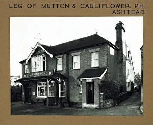 Leg of Mutton & Cauliflower PH, Ashtead, Surrey