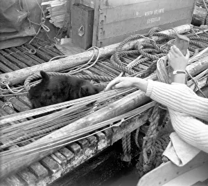 L'egare II - North Atlantic expedition raft, at Falmouth