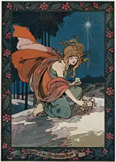 Infant Prints: Legend Of The Christmas Rose