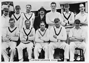 Midland Prints: Leicestershire CCC Cricket Team