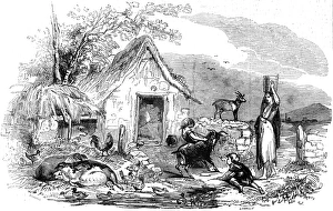 Live Stock Collection: Leinster cottage, Ireland