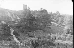 Hilltop Prints: Leith Hill Tower