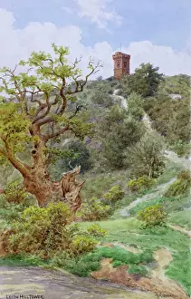 Dorking Prints: Leith Hill Tower, Leith Hill, near Dorking, Surrey
