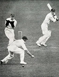 Batting Prints: Len Hutton cutting McCabe past Waite at the Oval