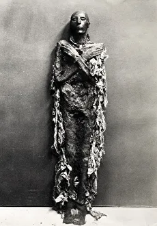 Images Dated 8th February 2021: Full length Egyptian mummy