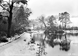 Lennoxvale, Malone Rd. in Winter